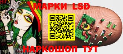 стафф Кандалакша