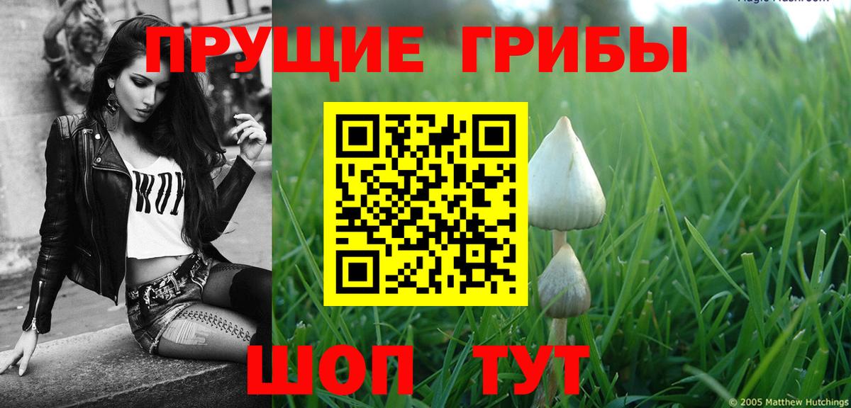 Псилоцибиновые грибы прущие грибы  Вход с VPN  Североуральск 